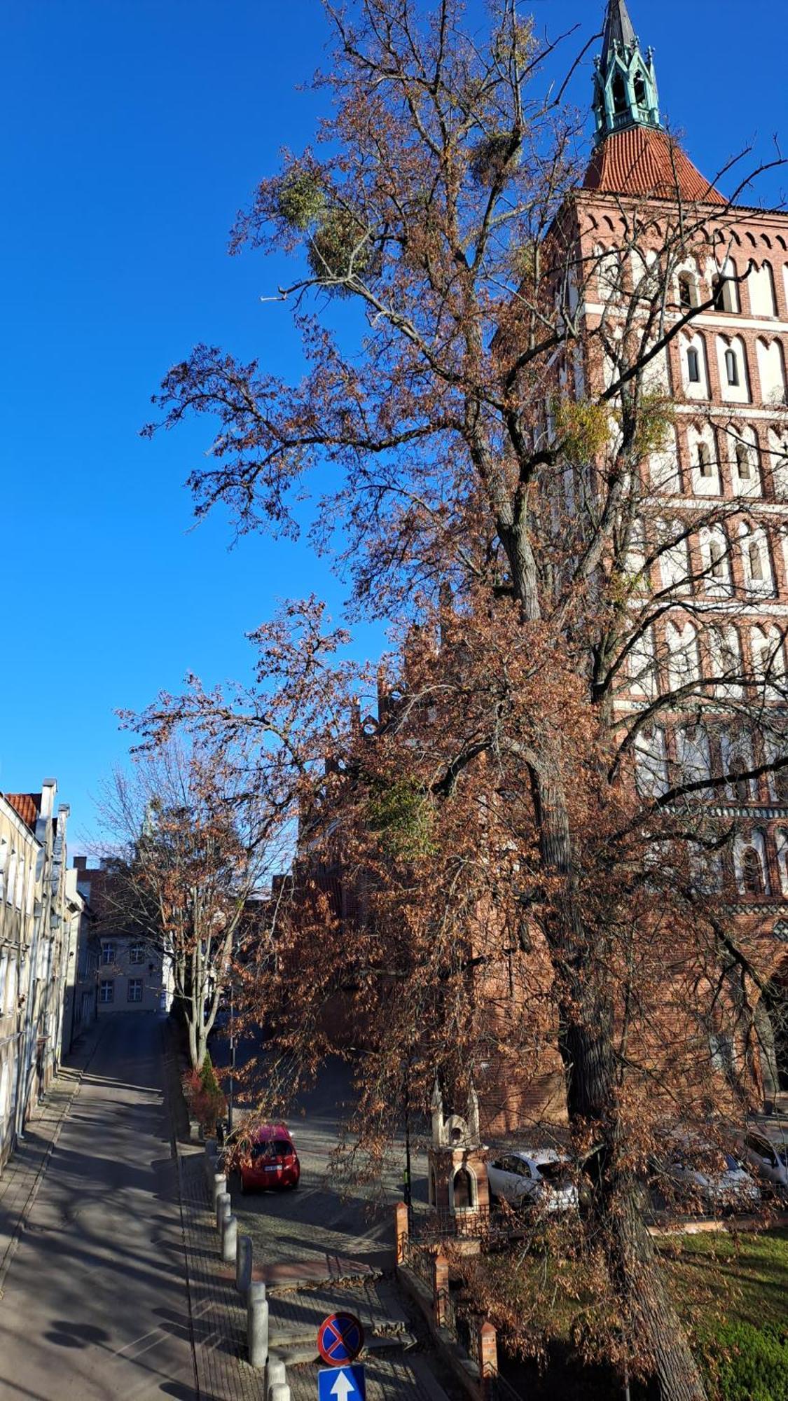 Stare Widok Na Katedre *
